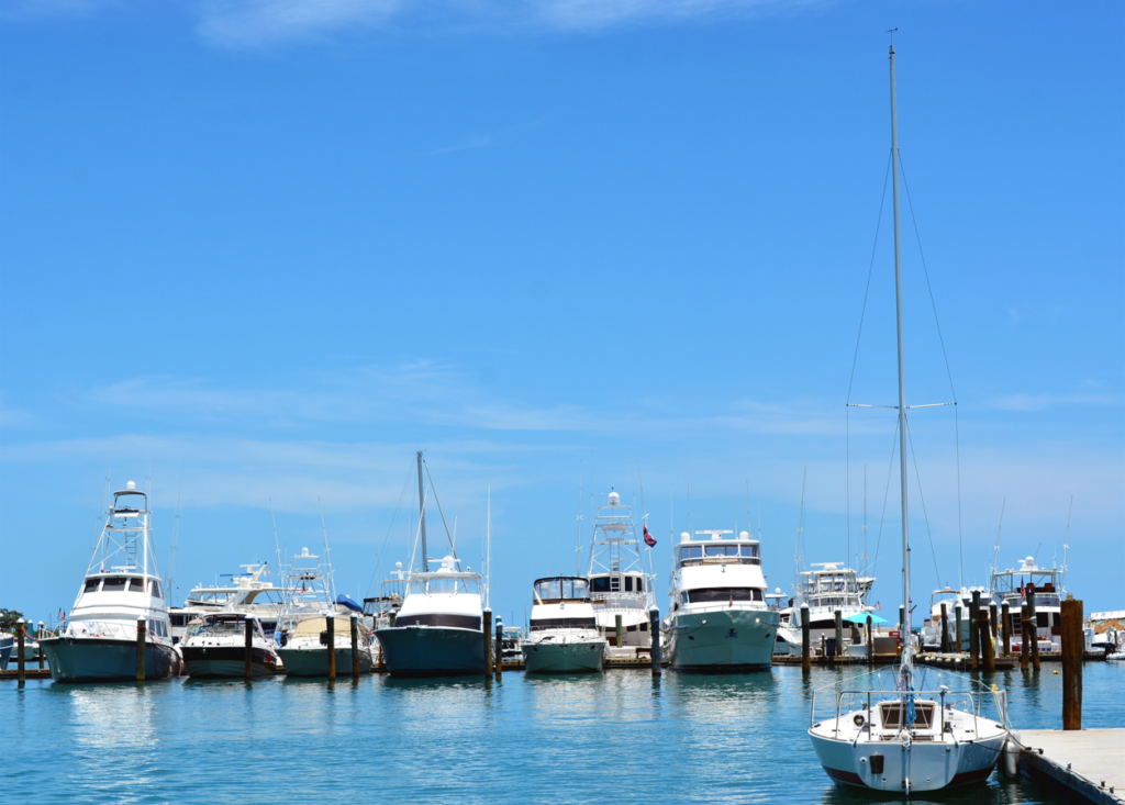 Key West Fishing Charters – Key West Fishing Charters